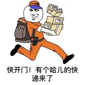 快开门有个哈儿的快递来了表情