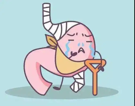 安职干饭太快小心胃胀