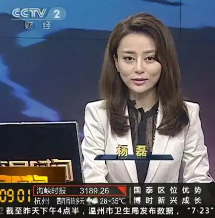 请问央视2套 美女主持人 叫啥名字,主持交易时间.上图