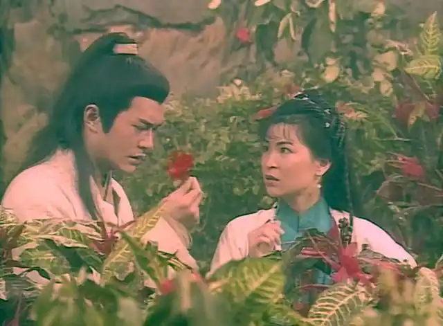 系列2公孙绿萼一见杨过误终身的岂是郭襄一个