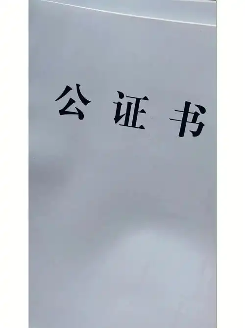 亲属关系证明资料来源