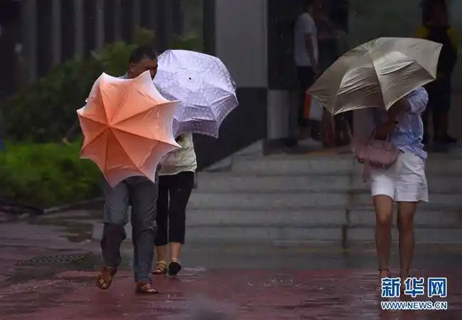 8月27日,在深圳街头,行人在风雨中前行.