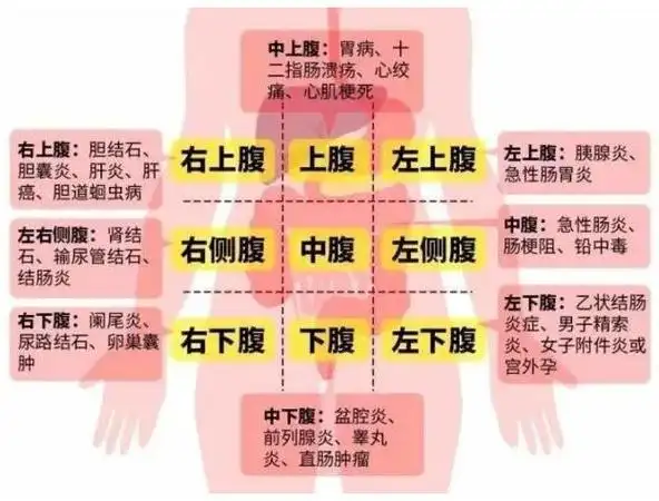 下腹疼痛(下腹疼痛放屁后缓解)-周公解梦大全查询