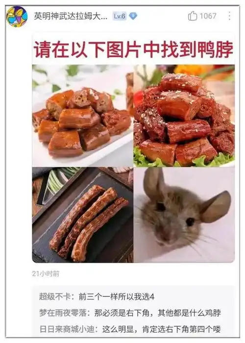 我已经分不清鸭脖和老鼠头了