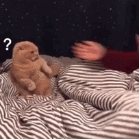 斗图#可爱沙雕表情包