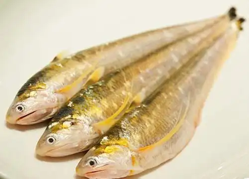 美味刀鱼的前生今世