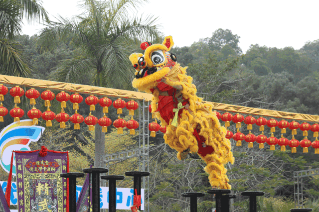 精彩视频回看让群众大饱耳福和眼福传统民俗活动陆续上演舞狮,舞龙