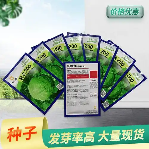 厂家批发独立袋装世农200结球甘蓝种子 田园盆栽种植绿球甘蓝种子