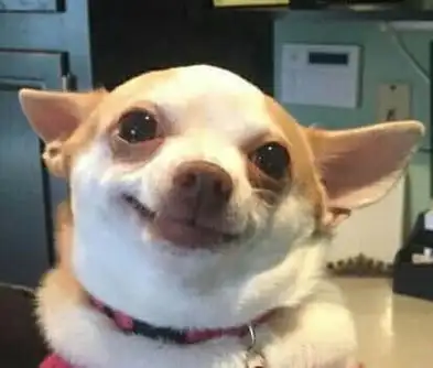 微笑中透露着别天神表情包制作搞笑图片表情