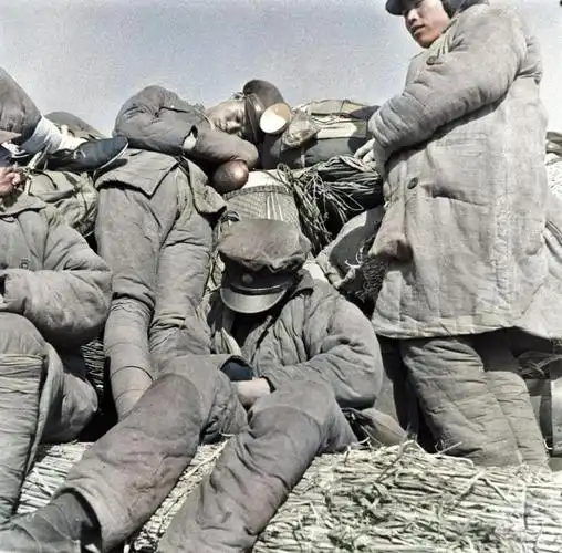 罕见解放战争彩色照片:对比国军和解放军的精神面貌,国军必败_手机