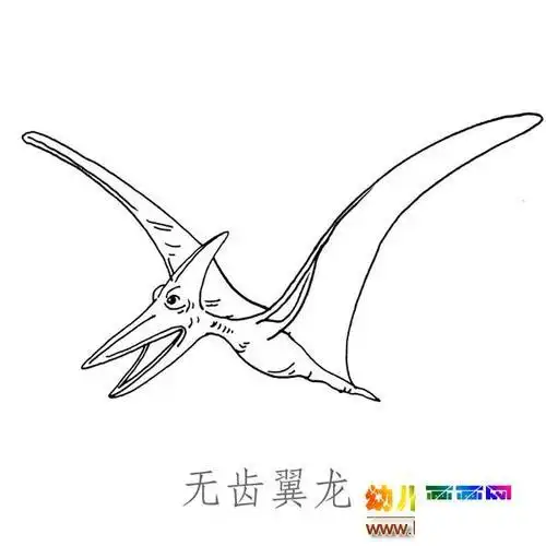 儿童简笔画图片无齿的翼龙