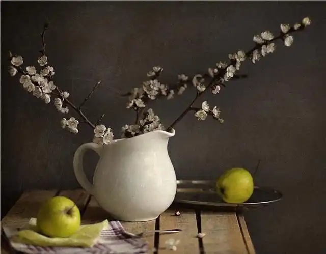 来自乌克兰女摄影alain shibko的一组漂亮的静物摄影作品