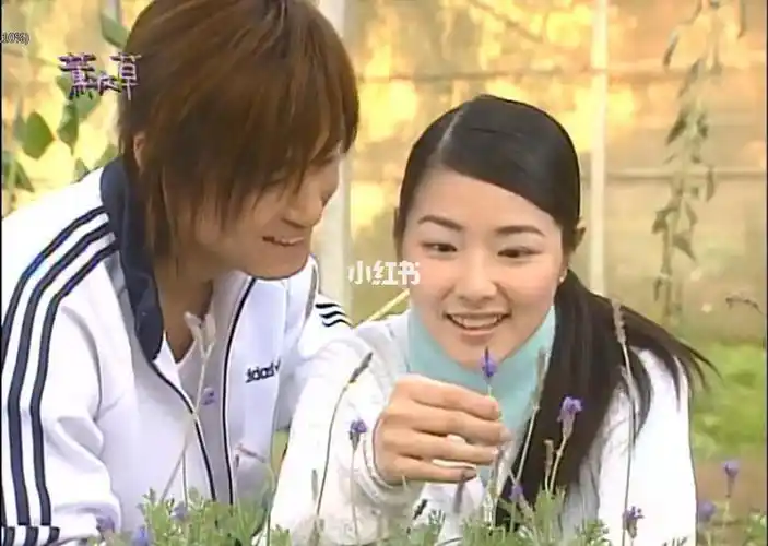 童年最美好的记忆以及梦薰衣草