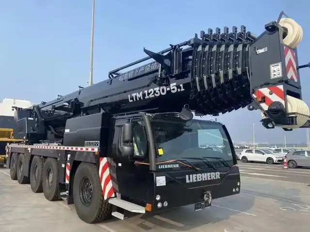 利勃海尔800吨(国内首台利勃海尔230吨)(12)