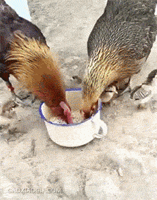 笑话大全_污段子大全_搞笑段子_搞笑图片大全_傲游哈哈