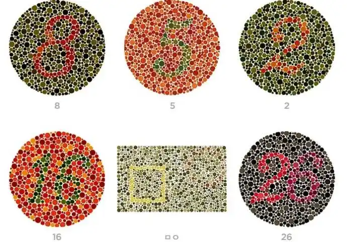 趣味视力测试|趣味视力测试,视力测试表,色盲测试,散光测试|_新闻