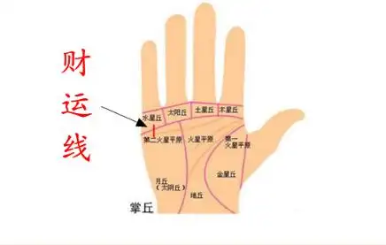 手掌财运线是哪一条-996手相网