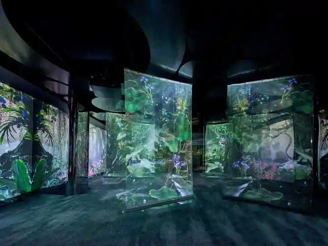 小仙炖沉浸式旗舰店在京开业 引领"她"场景体验新潮流