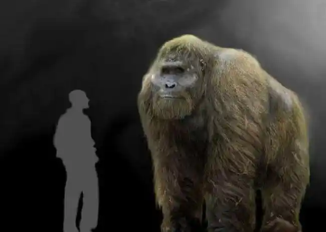 盘点十三种已灭绝的大型远古动物,最后一种以鳄鱼为食