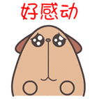 狗 感动