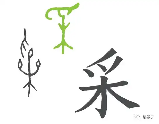 一日一得汉字采一只手伸向果实