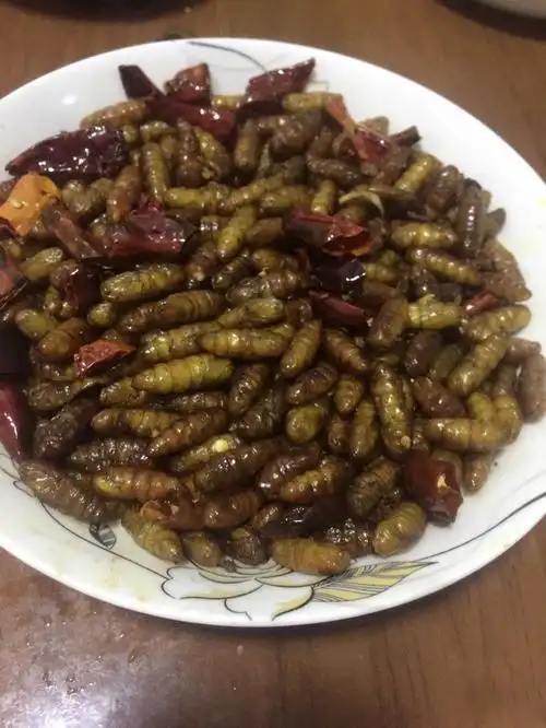 爆炒蚕蛹金丝蛹