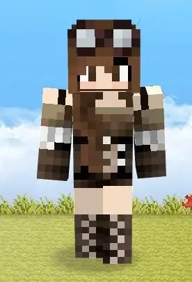 我的世界皮肤大全