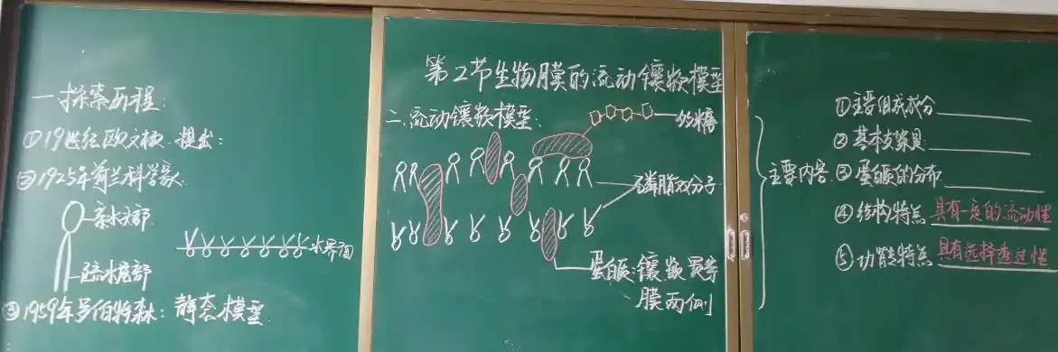 民大附中生物老师板书秀