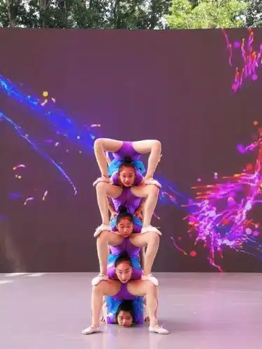 市杂技团北京世园会演出完美收官