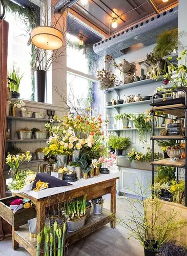 合肥花店装修要点,网红花店这样设计,让你的梦想照进现实
