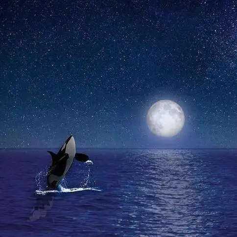 三亚星辰大海水上运动