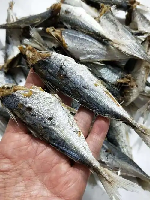 苏麻麻 巴浪鱼干自晒海生咸鱼干干货海产品汕尾特产池鱼干500g