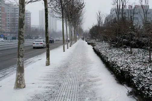 山东烟台降下小雪 对交通影响不大