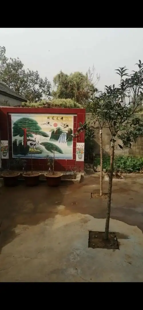 进入大门的迎门墙.