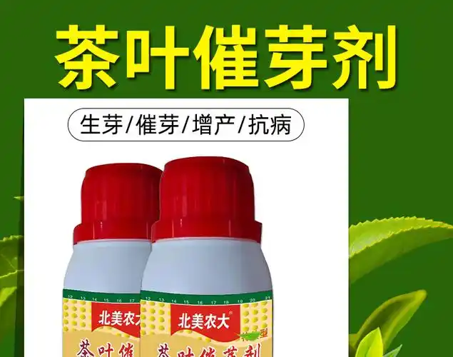 茶叶催芽剂专用叶面肥茶树催芽素早发芽细胞分裂催发嫩芽肥芽齐1瓶200