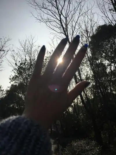 手穿过阳光的图片