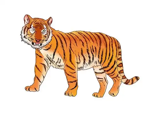 橘色手绘卡通国潮老虎动物元素png素材