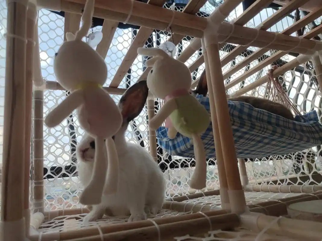 diy兔笼!超便宜! 自制笼子!