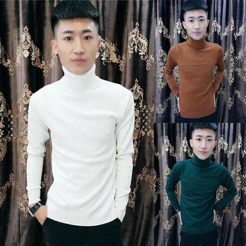 社会精神小伙纯色高领毛衣长袖针织衫修身韩版快手红人同款毛衣男