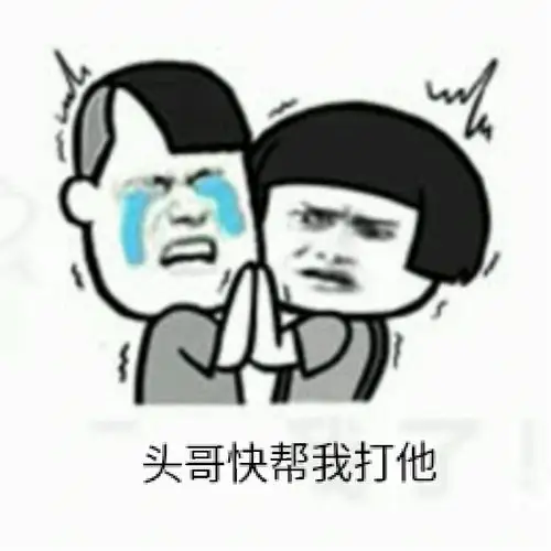 头哥快帮我打他表情包 - 表情图