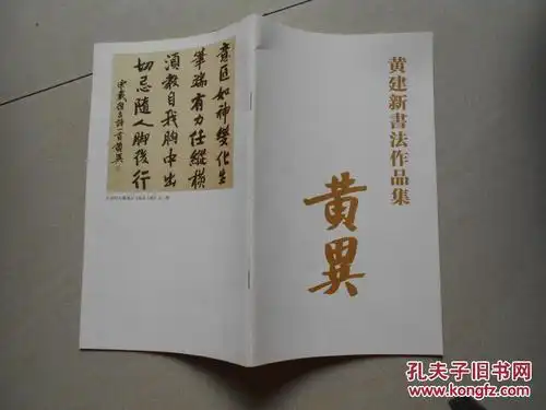 黄建新书法作品集