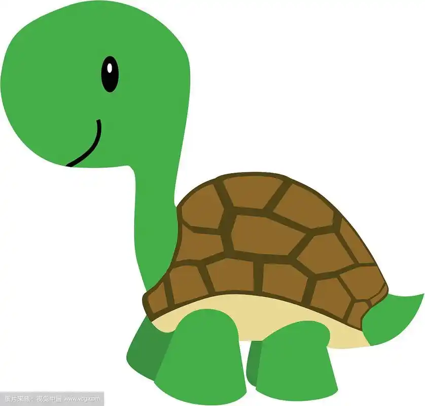 卡通龟