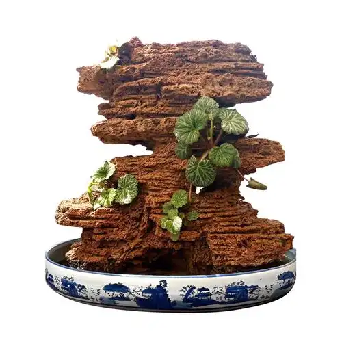 天然石盆景造景鱼缸装饰艺术盆景奇石千层吸水摆件