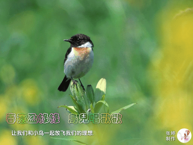 640_480gif 动态图 动图