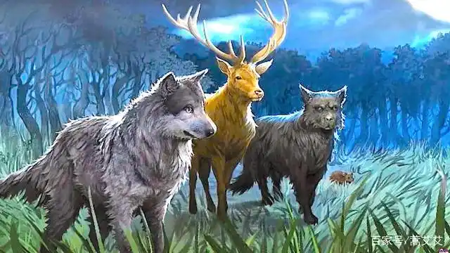 狼人也可以拥有爱情哈利波特里让人意难平的卢平唐克斯