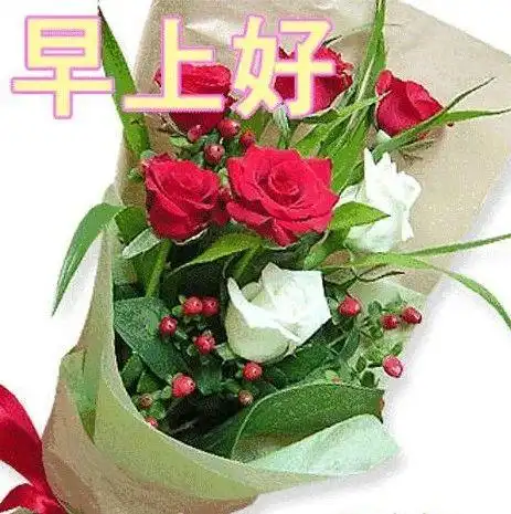 早上好图片鲜花清晨最美的早上好问候漂亮鲜花表情图片