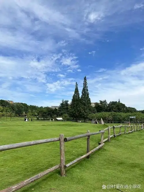 打卡双流中心公园