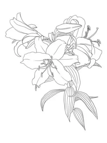 素锦素材//花卉线稿//黑白//插花