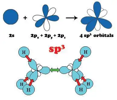 sp2杂化sp3杂化是什么意思分子轨道理论求详细解释本人不懂