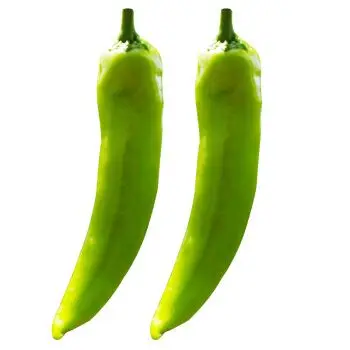 【莘县馆】新鲜蔬菜尖辣椒 青椒 山东特产 1.5kg